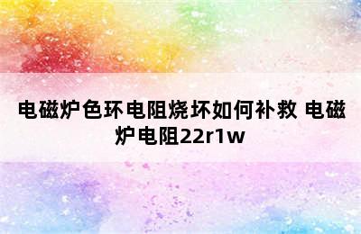 电磁炉色环电阻烧坏如何补救 电磁炉电阻22r1w